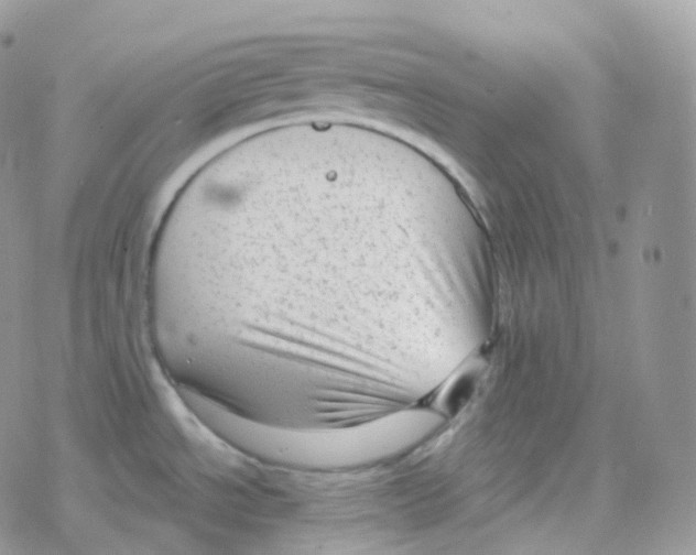 X0000078311534200611251521