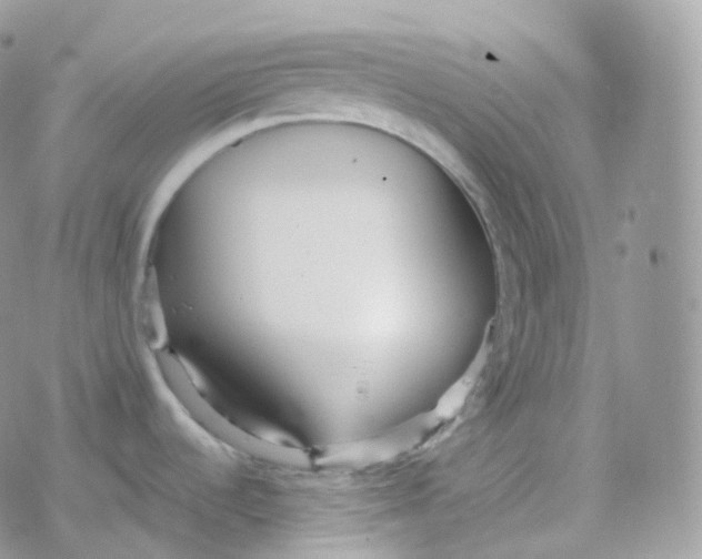 X0000078311536200611251521