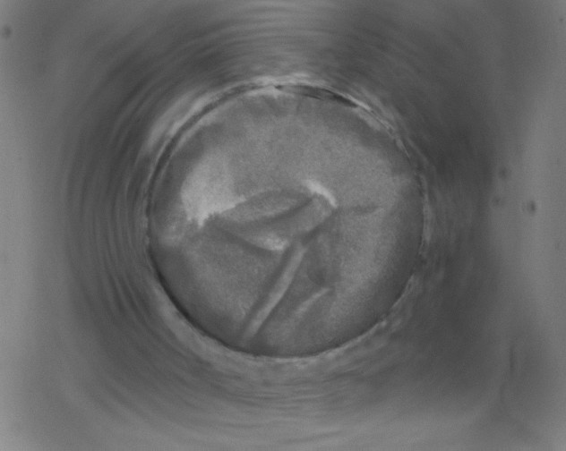 X0000078310002200612011911