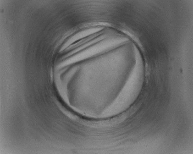 X0000078310013200612011911