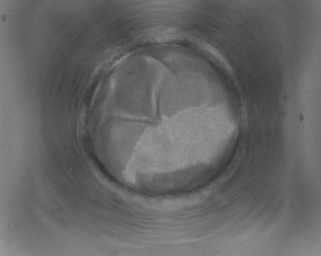 X0000078310018200612011911