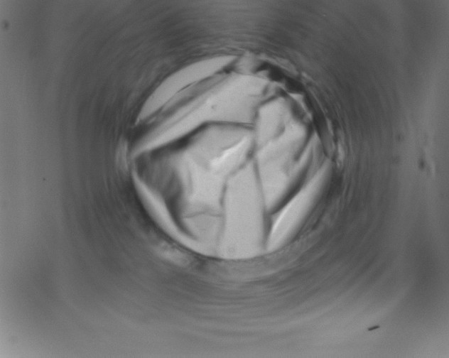 X0000078310041200612011910
