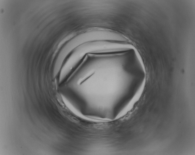 X0000078310050200612011909
