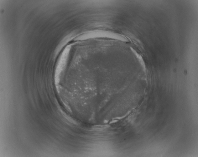 X0000078310051200612011909