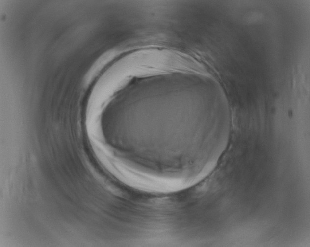 X0000078310054200612011909