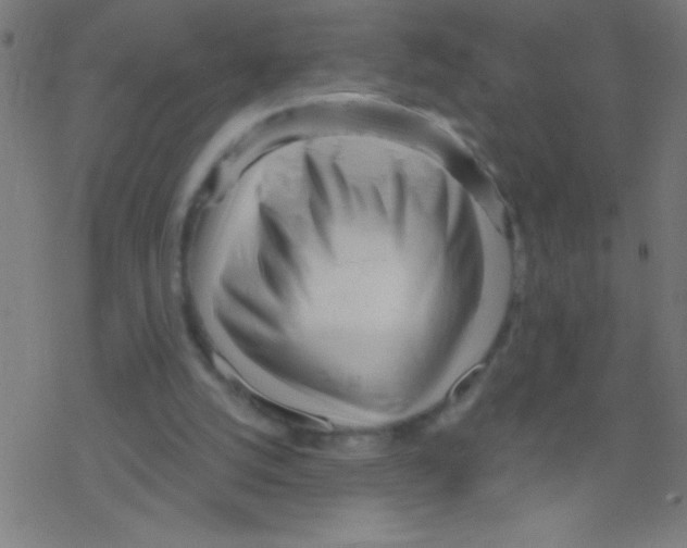 X0000078310056200612011909