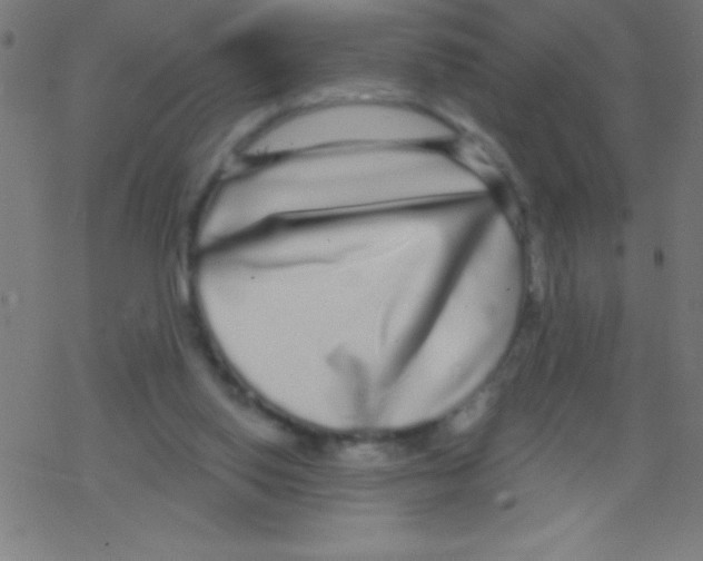 X0000078310062200612011910