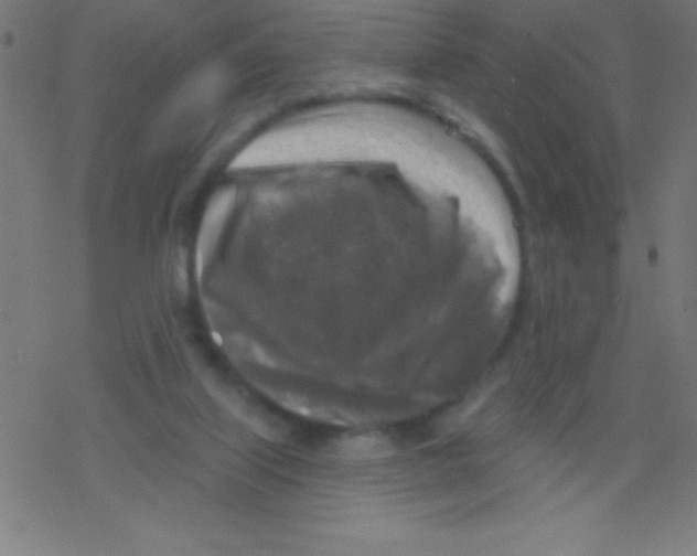 X0000078310067200612011910