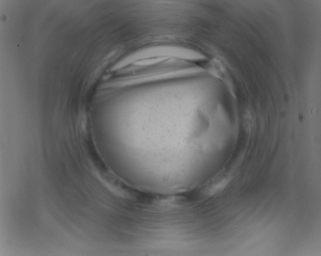 X0000078310072200612011910