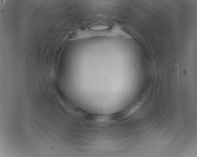 X0000078310088200612011910