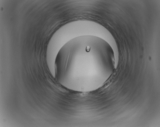X0000078310092200612011910