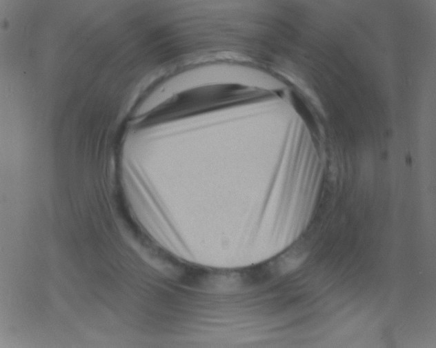 X0000078310110200612011909