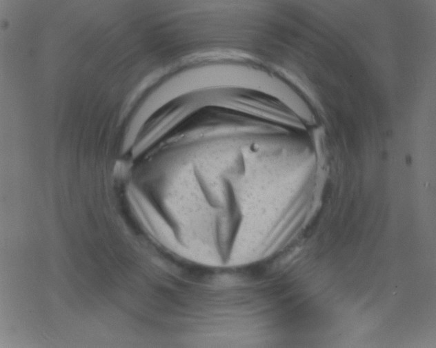 X0000078310111200612011909