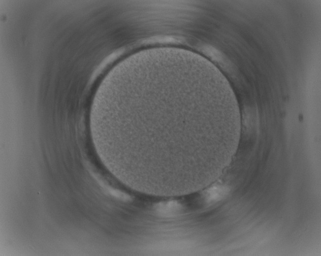X0000078310112200612011909