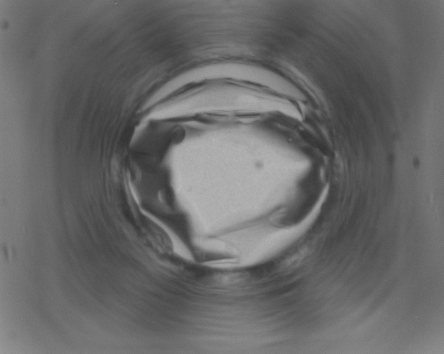 X0000078310117200612011909