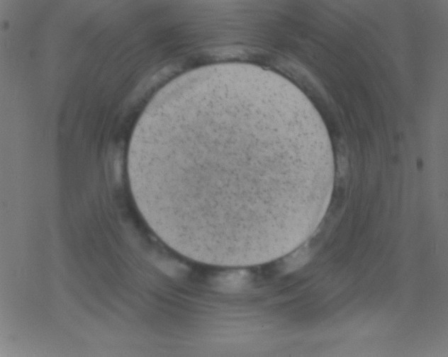 X0000078310124200612011909