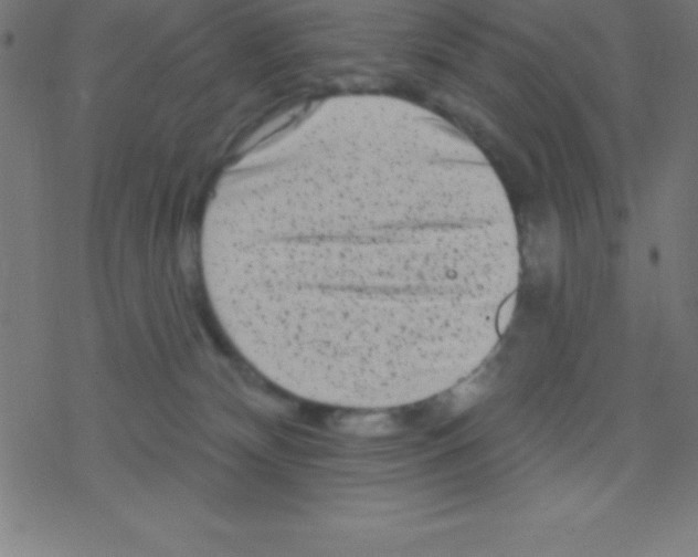 X0000078310132200612011909