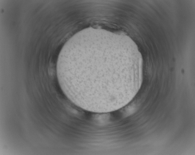 X0000078310135200612011909