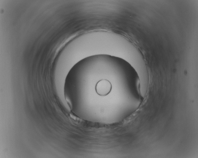 X0000078310146200612011908