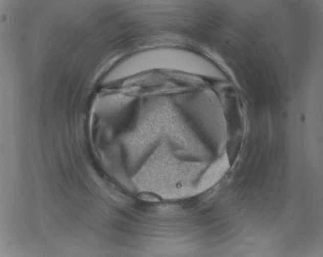 X0000078310154200612011908