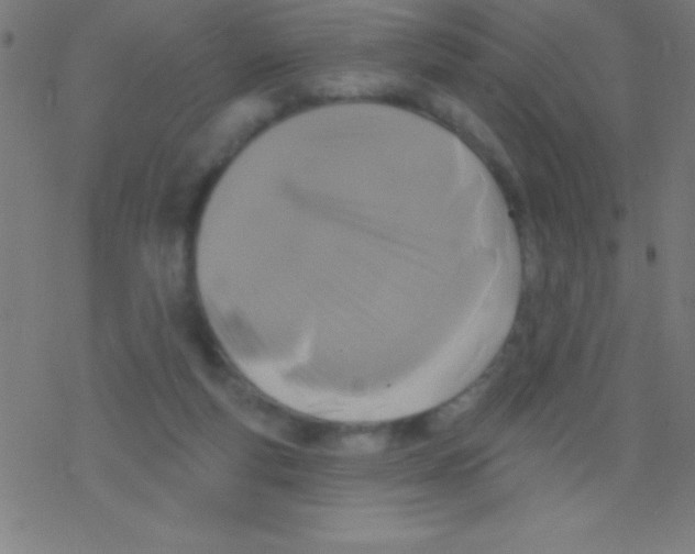 X0000078310163200612011908