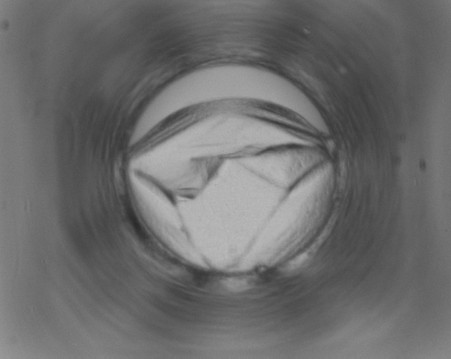X0000078310166200612011908