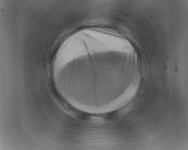 X0000078310167200612011908