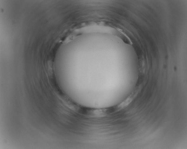 X0000078310184200612011908