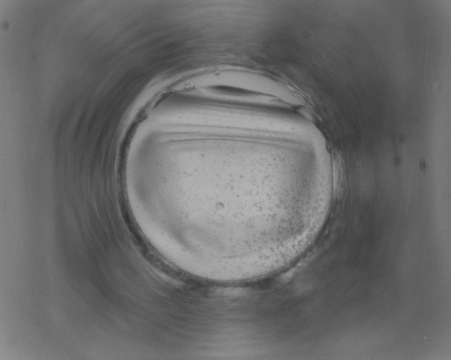 X0000078310195200612011908