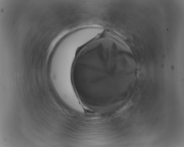 X0000078310200200612011908