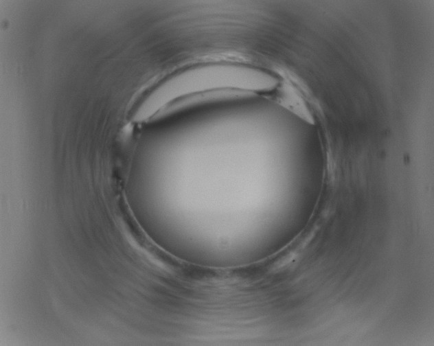 X0000078310201200612011908