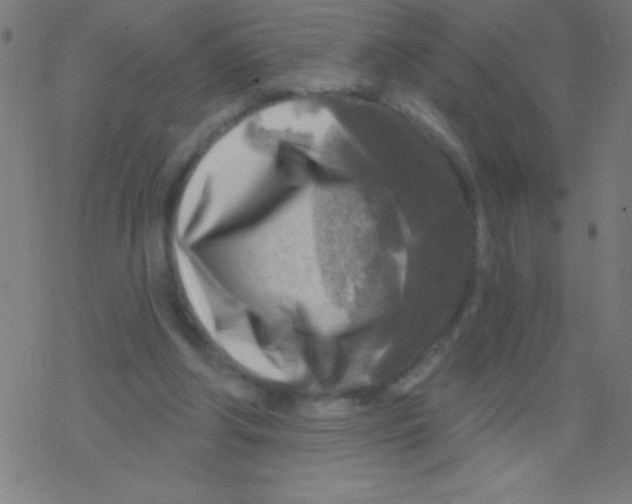 X0000078310202200612011908