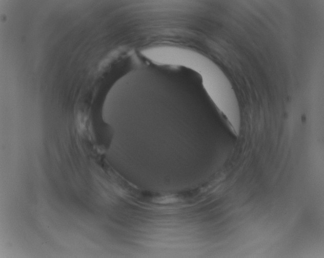 X0000078310219200612011907