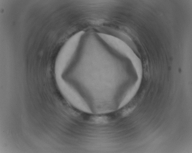 X0000078310221200612011907