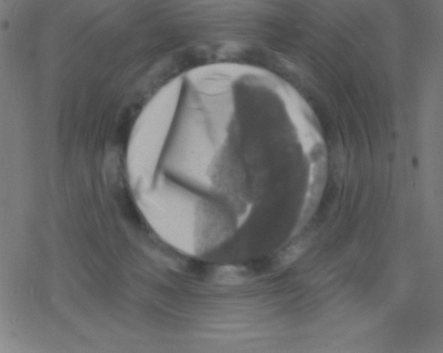 X0000078310222200612011907