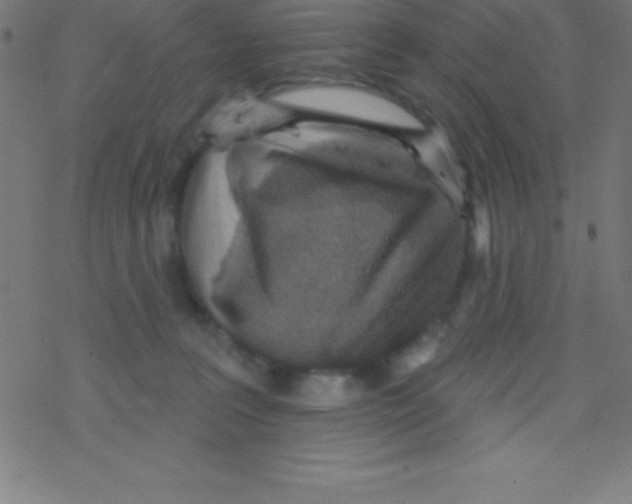 X0000078310227200612011907