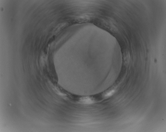 X0000078310231200612011907