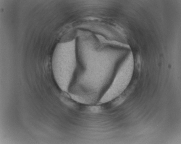 X0000078310233200612011907