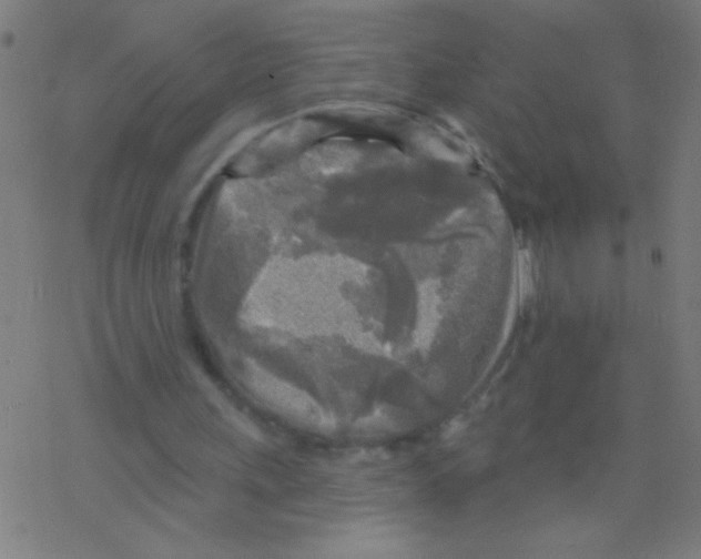 X0000078310243200612011906