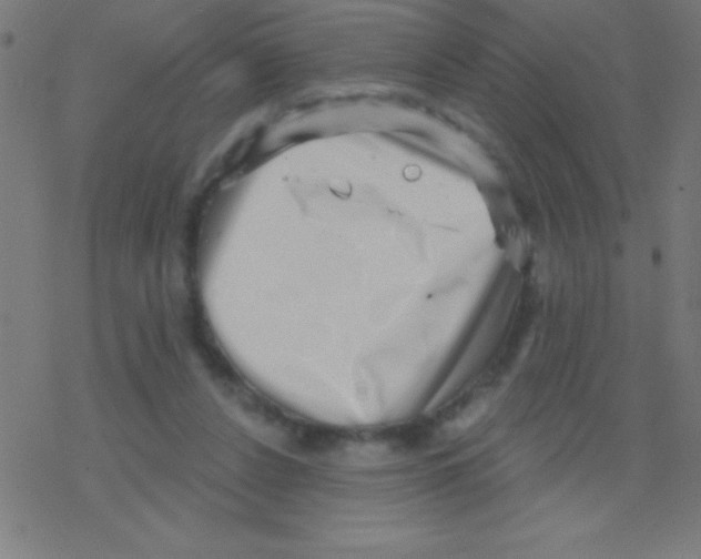X0000078310256200612011906