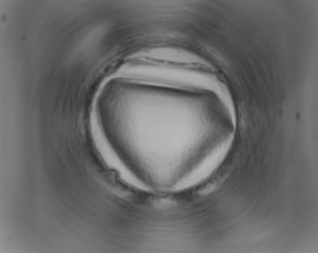 X0000078310258200612011907