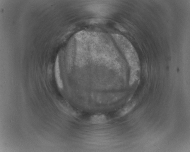 X0000078310271200612011907