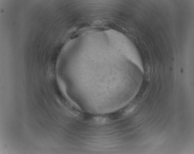 X0000078310272200612011907
