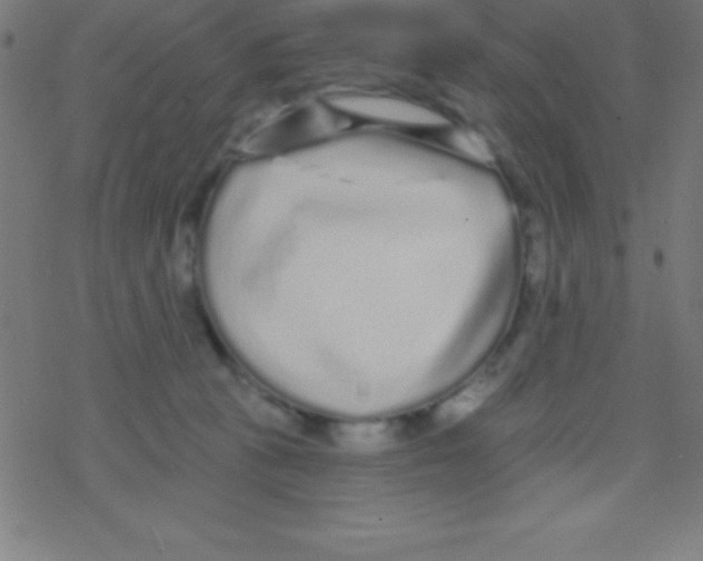 X0000078310273200612011907