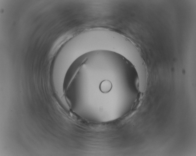X0000078310293200612011906