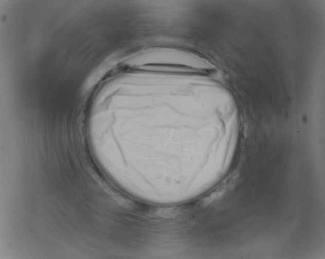 X0000078310341200612011905