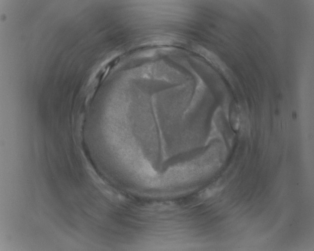 X0000078310386200612011905
