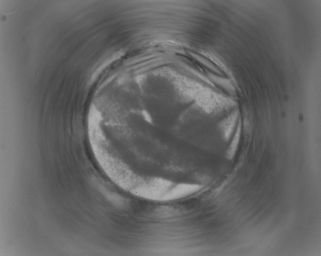 X0000078310390200612011905