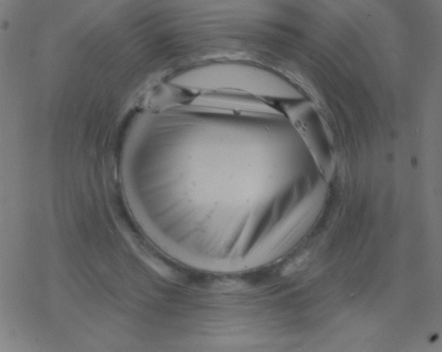 X0000078310397200612011904