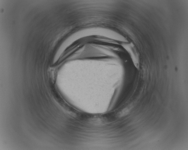 X0000078310404200612011904